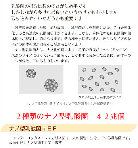 乳酸菌の摂取は数の多さが決め手です。しかしながら多ければ良いというわけでもありません。取り込みやすいかどうかも重要です。乳酸菌を培養した後、加熱殺菌し、乳酸菌だけを濃縮した後、これを粉体化すると高濃度の乳酸菌粉末ができます。しかし、粉体化の際に乳酸菌の菌体同士が凝集し、塊になります。その塊を水に溶かすと、色々なサイズの粒子径の菌体の塊が混在する懸濁液となります。ナノ型乳酸菌とは、ナノ型処理により、粒子の直径が1ミクロン未満のサイズになっている乳酸菌で、しかも水に溶かしたときに、菌体一つ一つが分散しているものをいいます。2種類のナノ型乳酸菌42兆個 ナノ型乳酸菌nEF エンテロコッカスフェカリス菌は、人の腸管に生息している乳酸菌です。殺菌処理しナノ型加工しています。