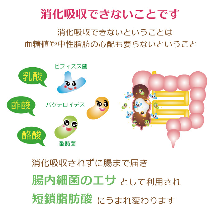 消化吸収できないということは、血糖値や中性脂肪の心配もいらないということ。食物繊維や難消化性オリゴ糖は小腸までの間で消化吸収されずに大腸まで届きます。そこで腸内細菌のエサとなり代謝されて、乳酸、酢酸、酪酸、プロピオン酸などの短鎖脂肪酸にうまれかわります。