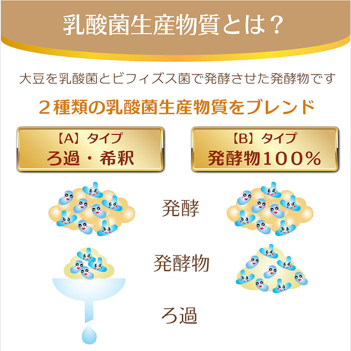 本商品は２種類の乳酸菌生産物質（乳酸菌生産物質Ａと乳酸菌生産物質Ｂ）をブレンドした腸内フローラ（腸内環境）を良くしたい方におすすめです。