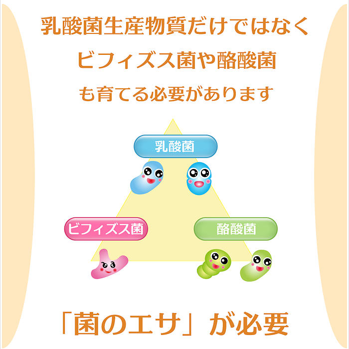 乳酸菌体や乳酸菌生産物質などを摂り入れることは、バイオジェニックス的な立場です。その一方で、プレバイオテクスという善玉菌のエサ（難消化性の糖）を摂り入れて善玉菌を育てるという立場もあります。本商品はプレバイオテクスの観点から２種類の難消化性オリゴ糖と、２種類の水溶性食物繊維をブレンドしています。