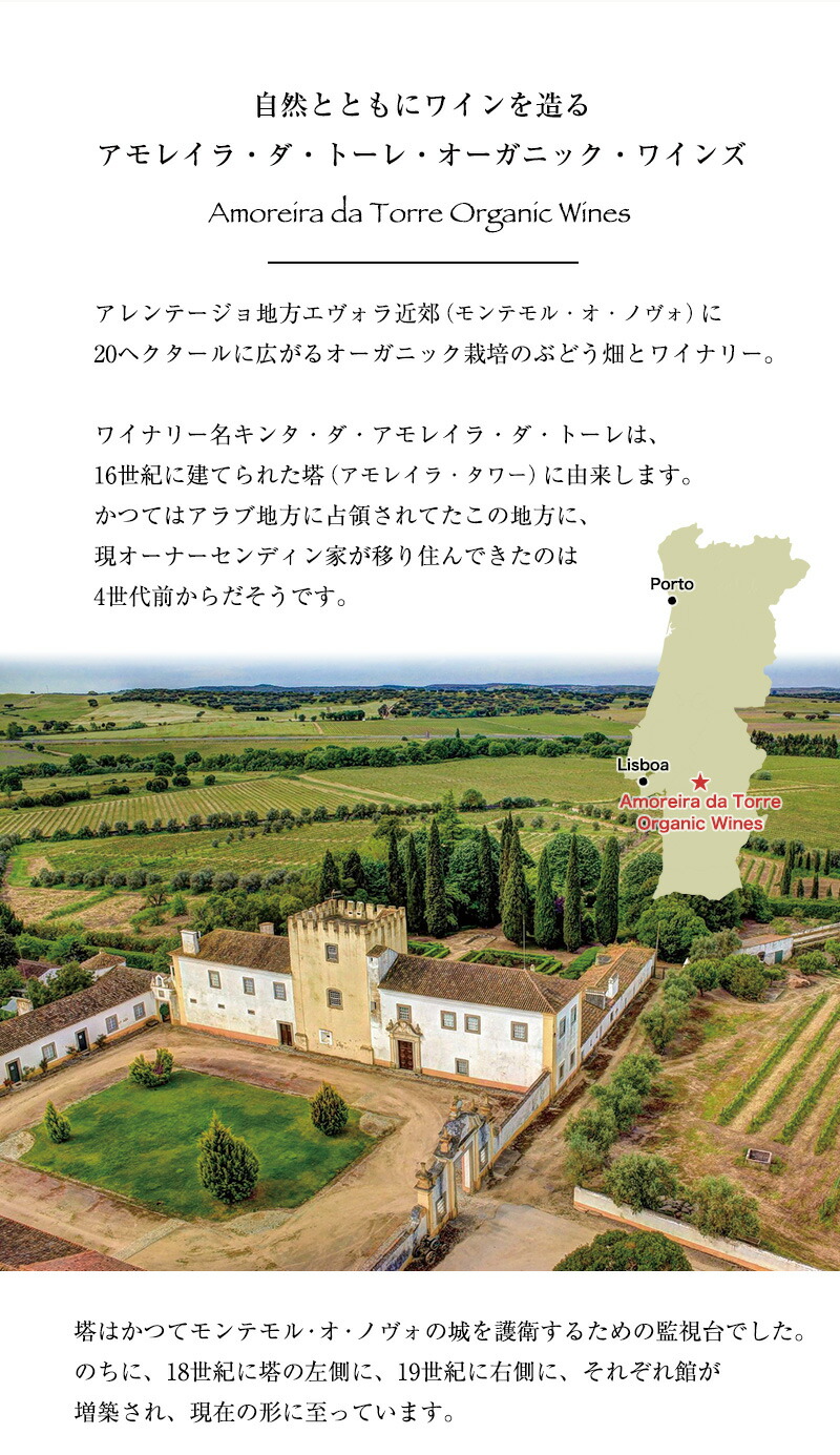 ゼブロ・ビオワイン・ティント