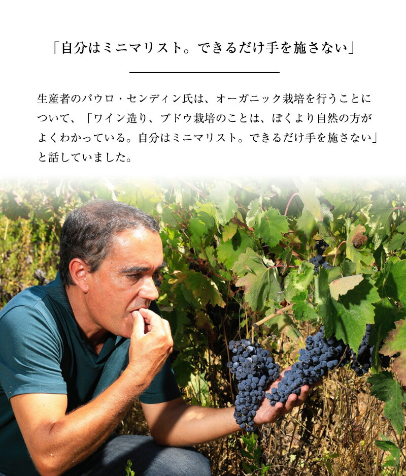 ゼブロ・ビオワイン・ティント