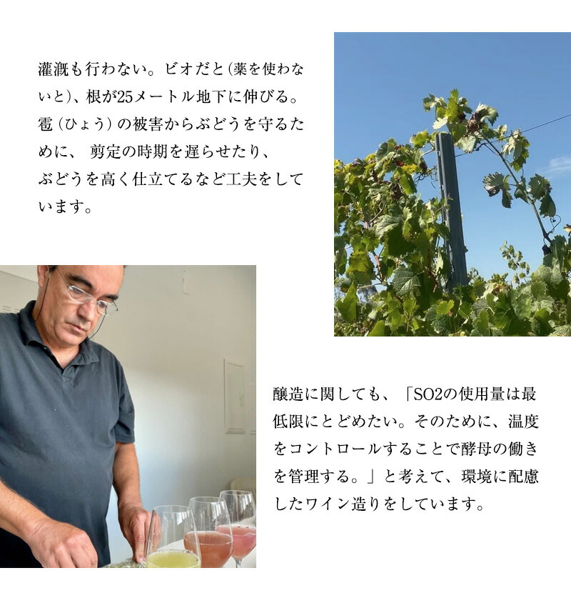 ゼブロ・ビオワイン・ティント