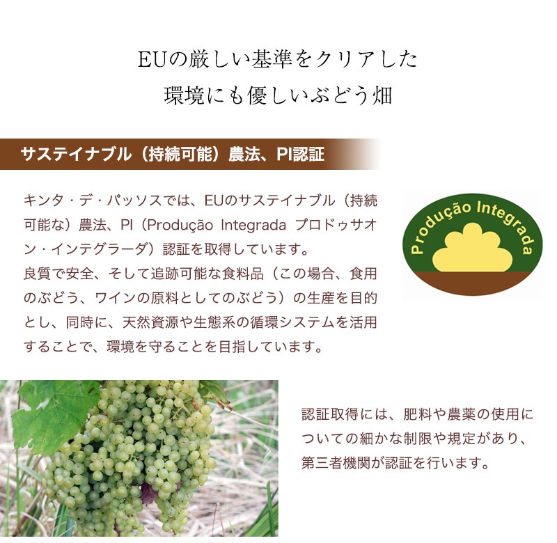 カーザ・デ・パッソス・ロゼ