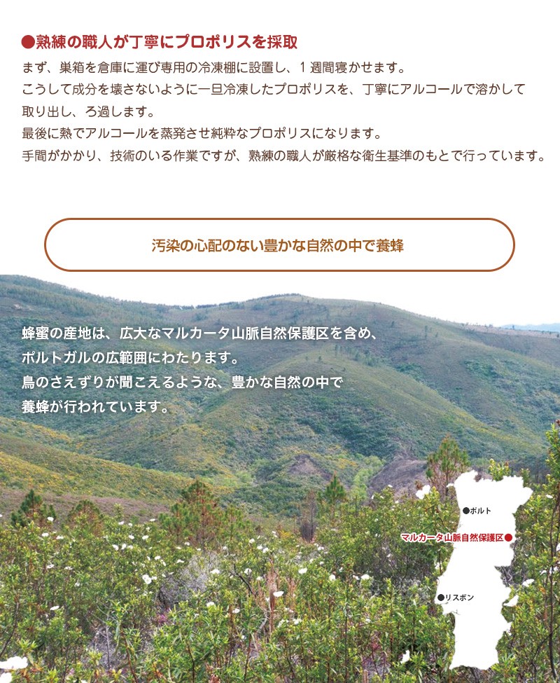 プロポリス入りはちみつ300g