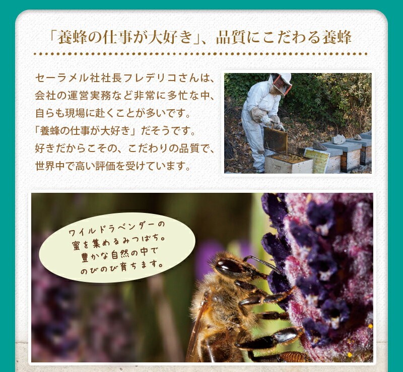 壺入りはちみつ（クリームタイプのローズマニーニョ）純粋はちみつ　蜂蜜　ハチミツ