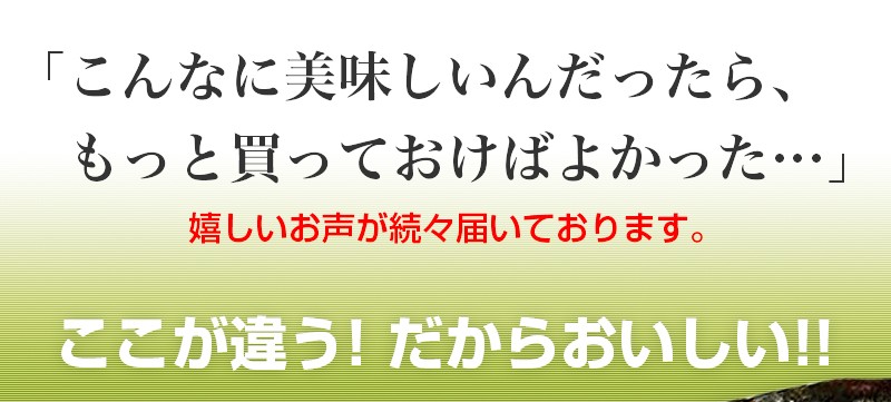 大きなイワシのオリーブオイル漬け いわし 缶詰 鰯