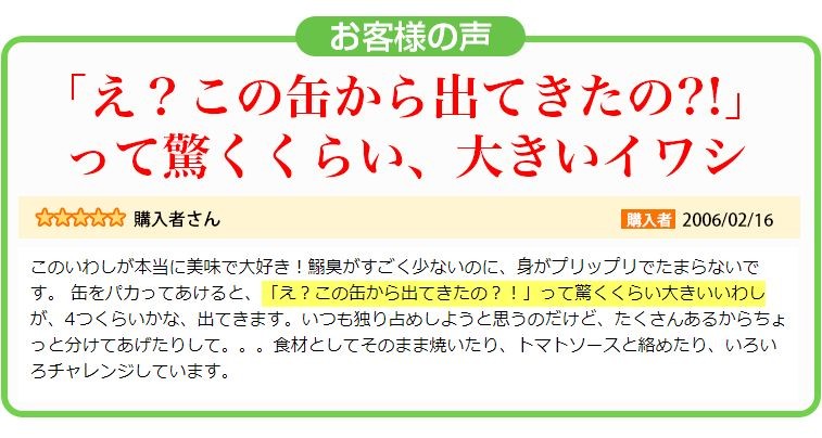 大きなイワシのオリーブオイル漬け いわし 缶詰 鰯