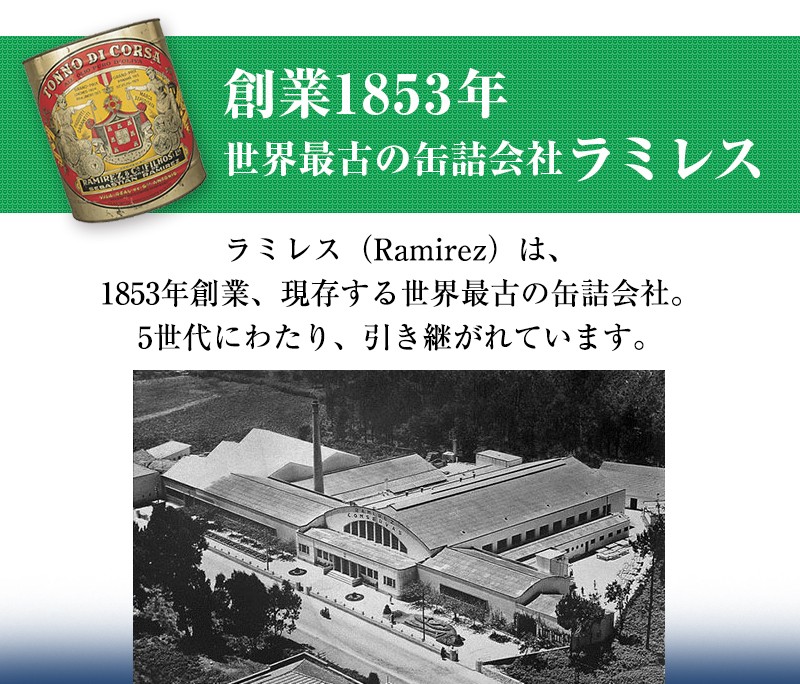 大きなイワシのオリーブオイル漬け125g 50個セット :RAM-001-s50:メルカード・ポルトガル 輸入食材 - 通販 -  Yahoo!ショッピング