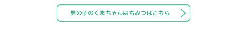 クマちゃんハチミツ（ワイルドラベンダーの花）