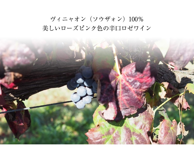 カーザ・デ・パッソス・ロゼ