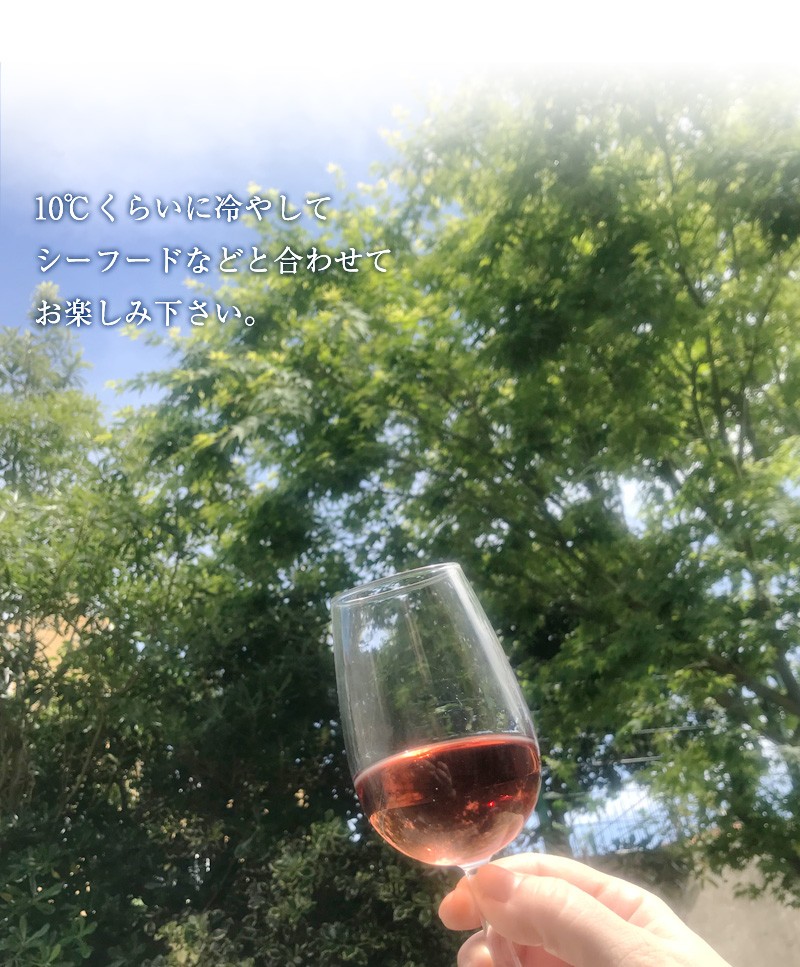 カーザ・デ・パッソス・ロゼ