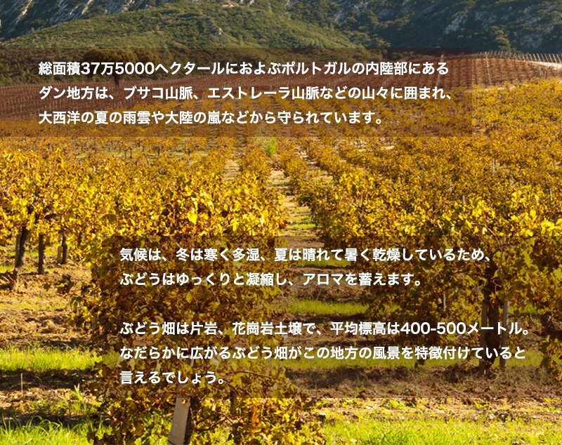 ウダカ・ダン・ティント