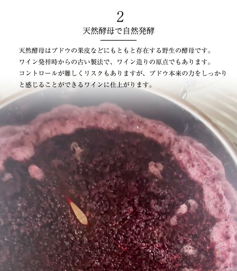 ゼブロ・ビオワイン・ティント