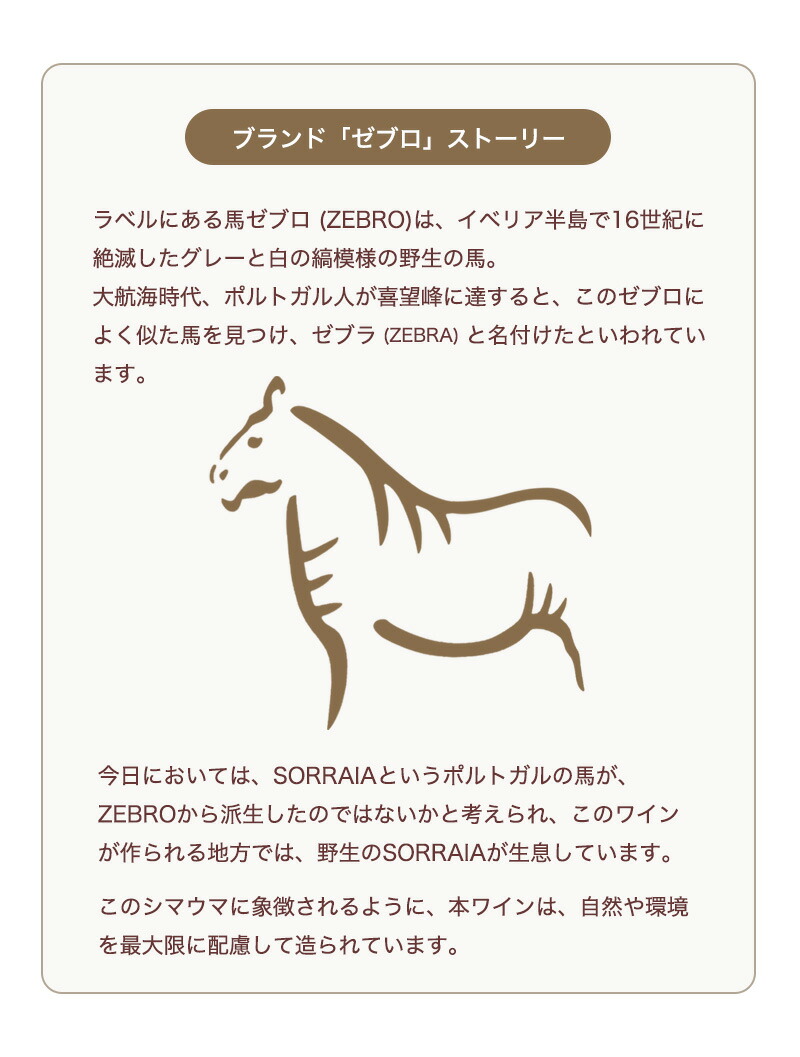 ゼブロ・ビオワイン・ティント