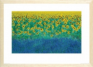 ポスター サヴィニャック SAVIGNAC AIR FRANCE 木製フレーム付 50×70cm