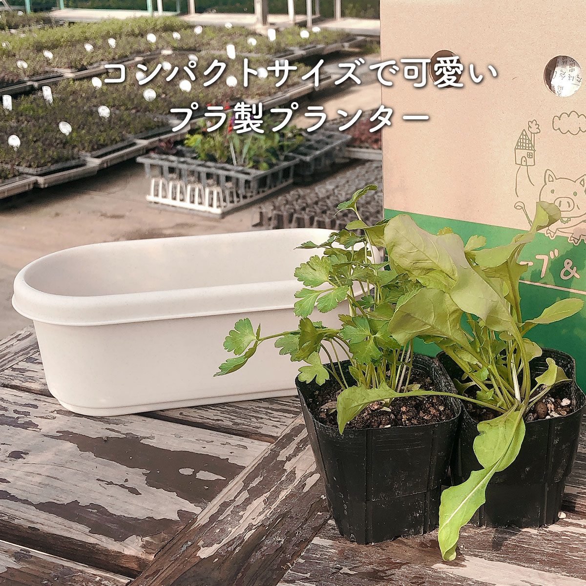 植木鉢 プランター プラスチック 7号 アイリスオーヤマ - 通販