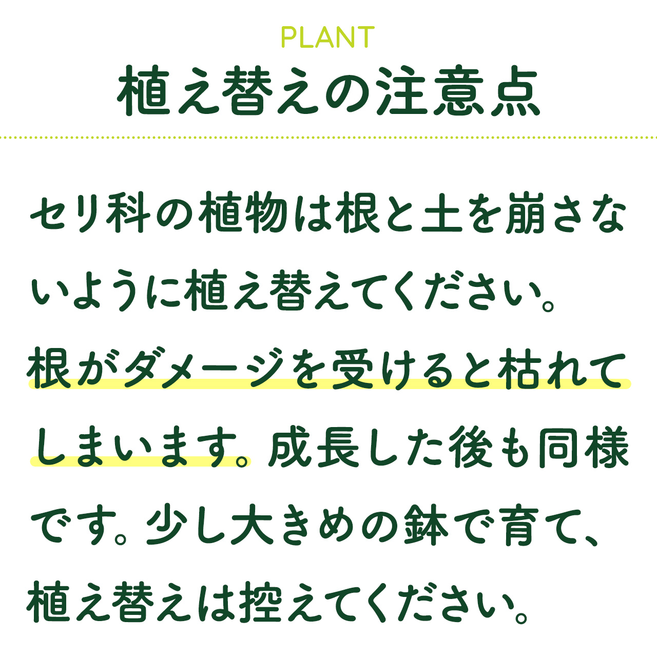 植え替え注意