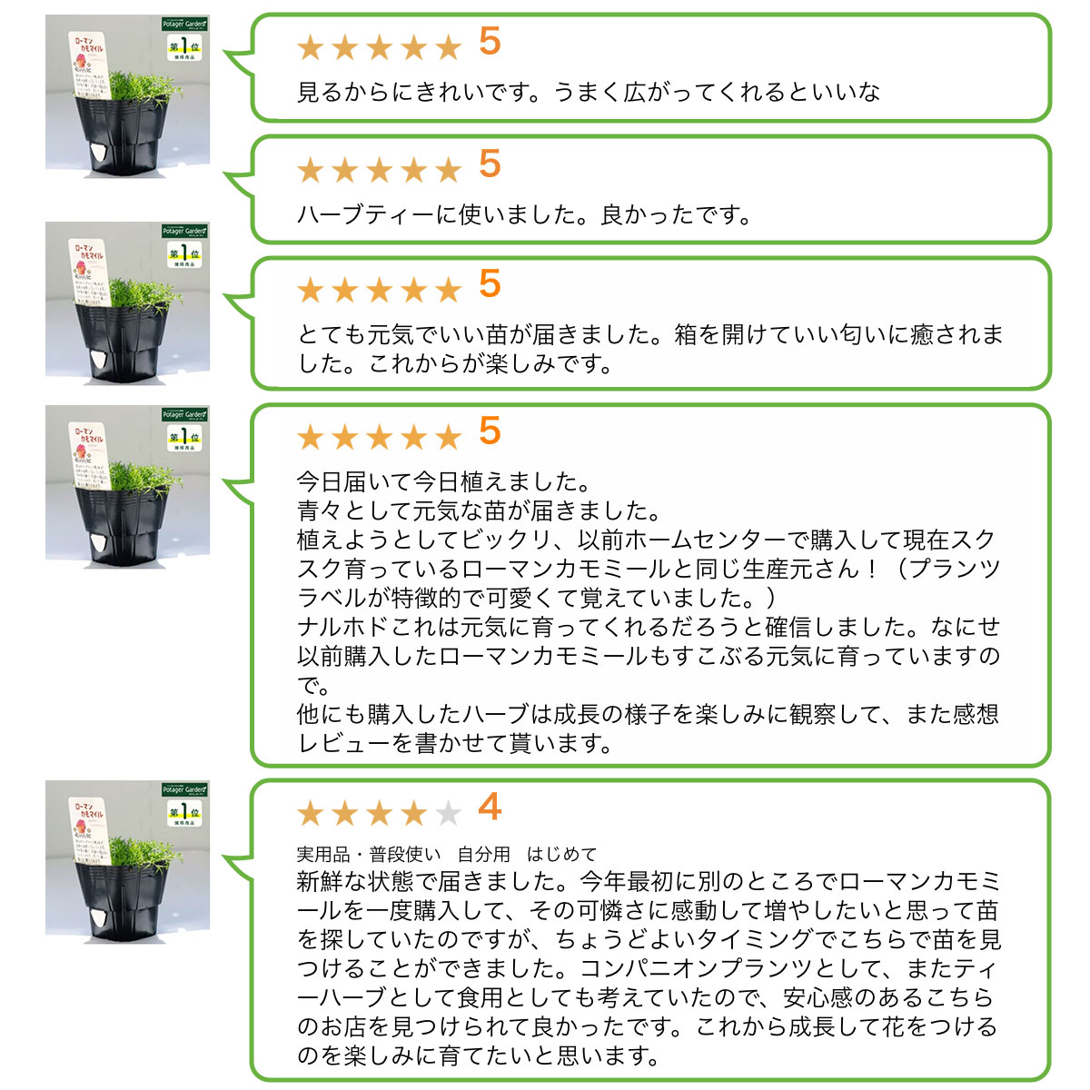 ランキング レビュー