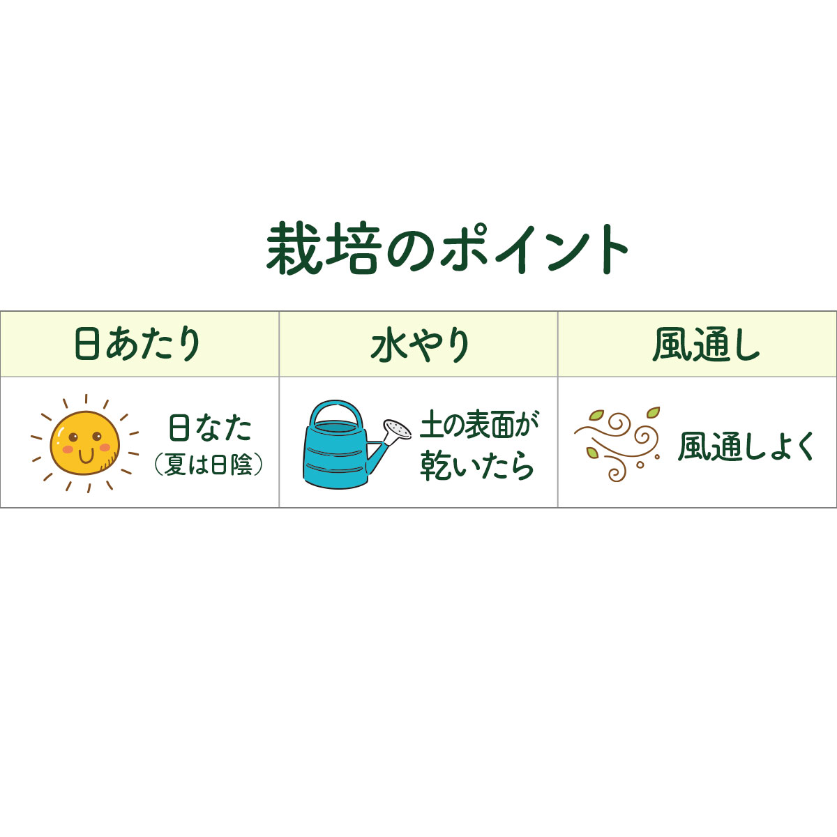 栽培のポイント