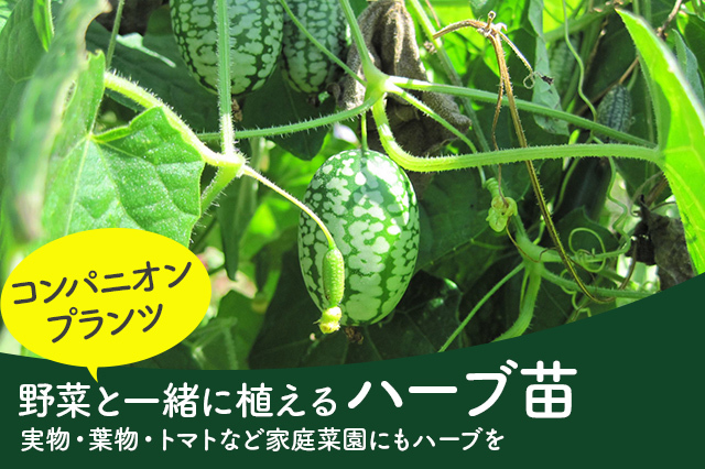 タイトル画像