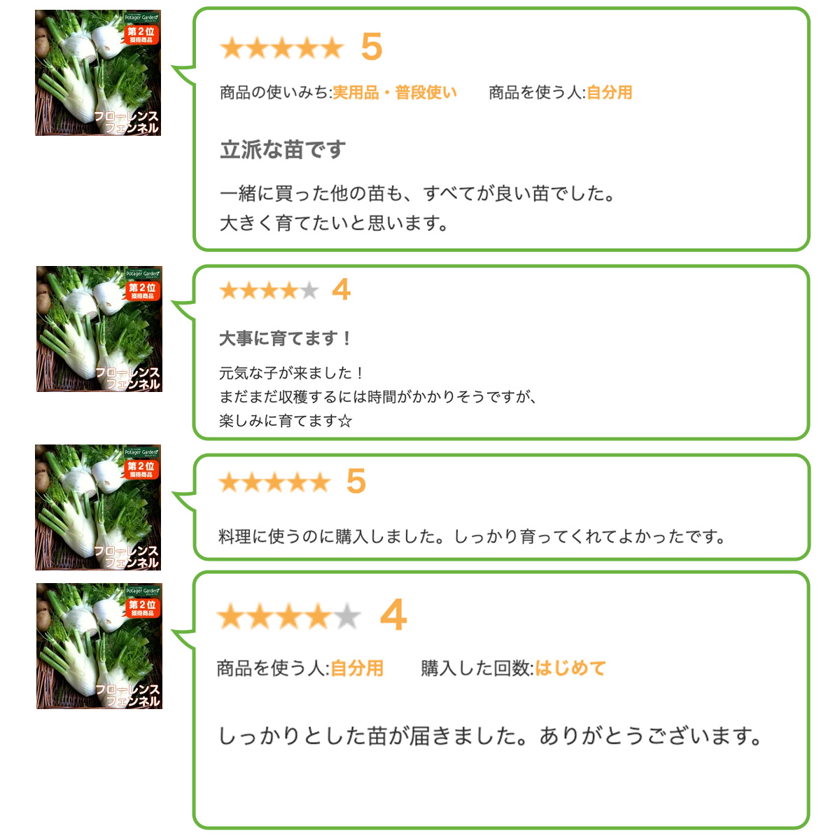 フェンネルの苗