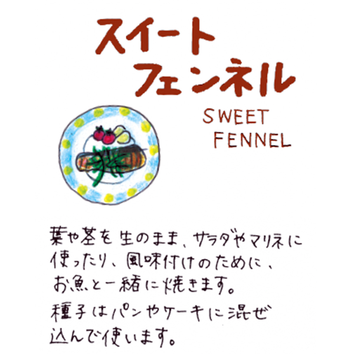 フェンネルの苗
