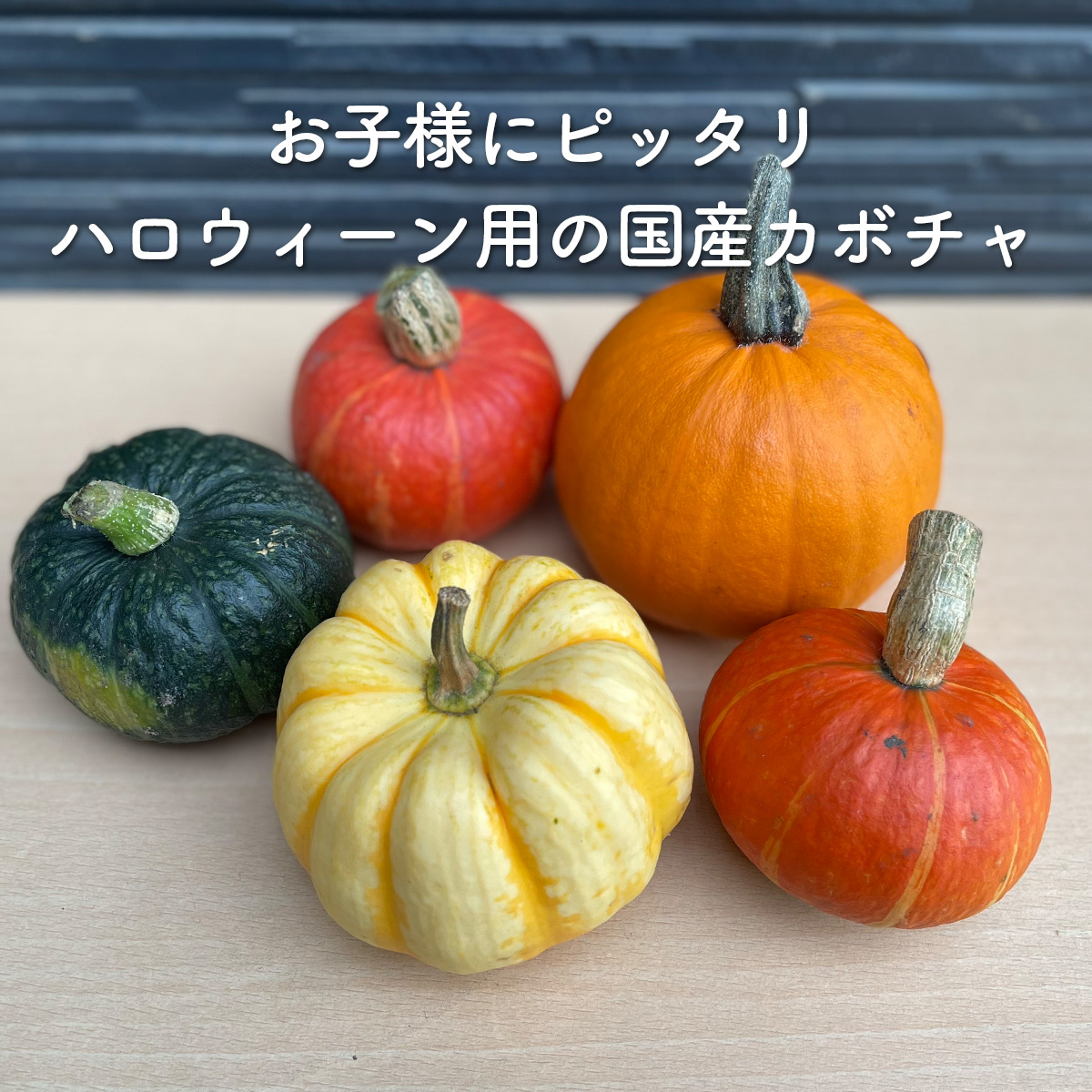 ハロウィン 飾り カボチャ 5個セット（かぼちゃ シール オーナメント