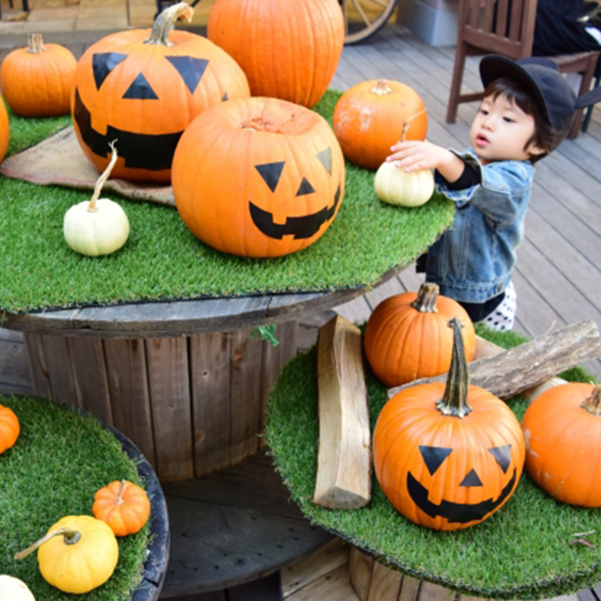 ハロウィン 飾り カボチャ 5個セット（かぼちゃ シール オーナメント