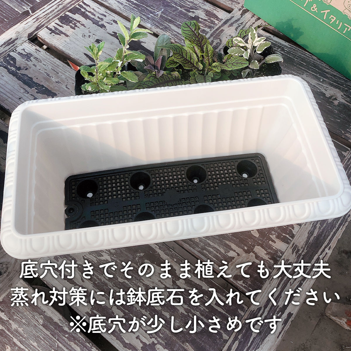 ハーブ栽培キット
