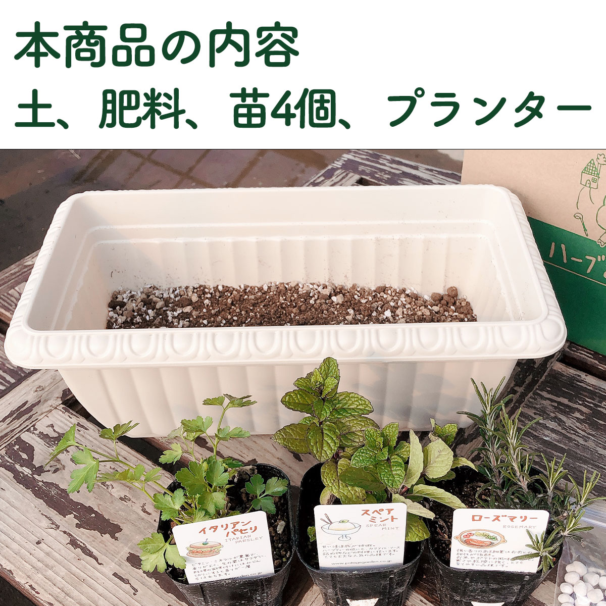 ハーブ栽培キット