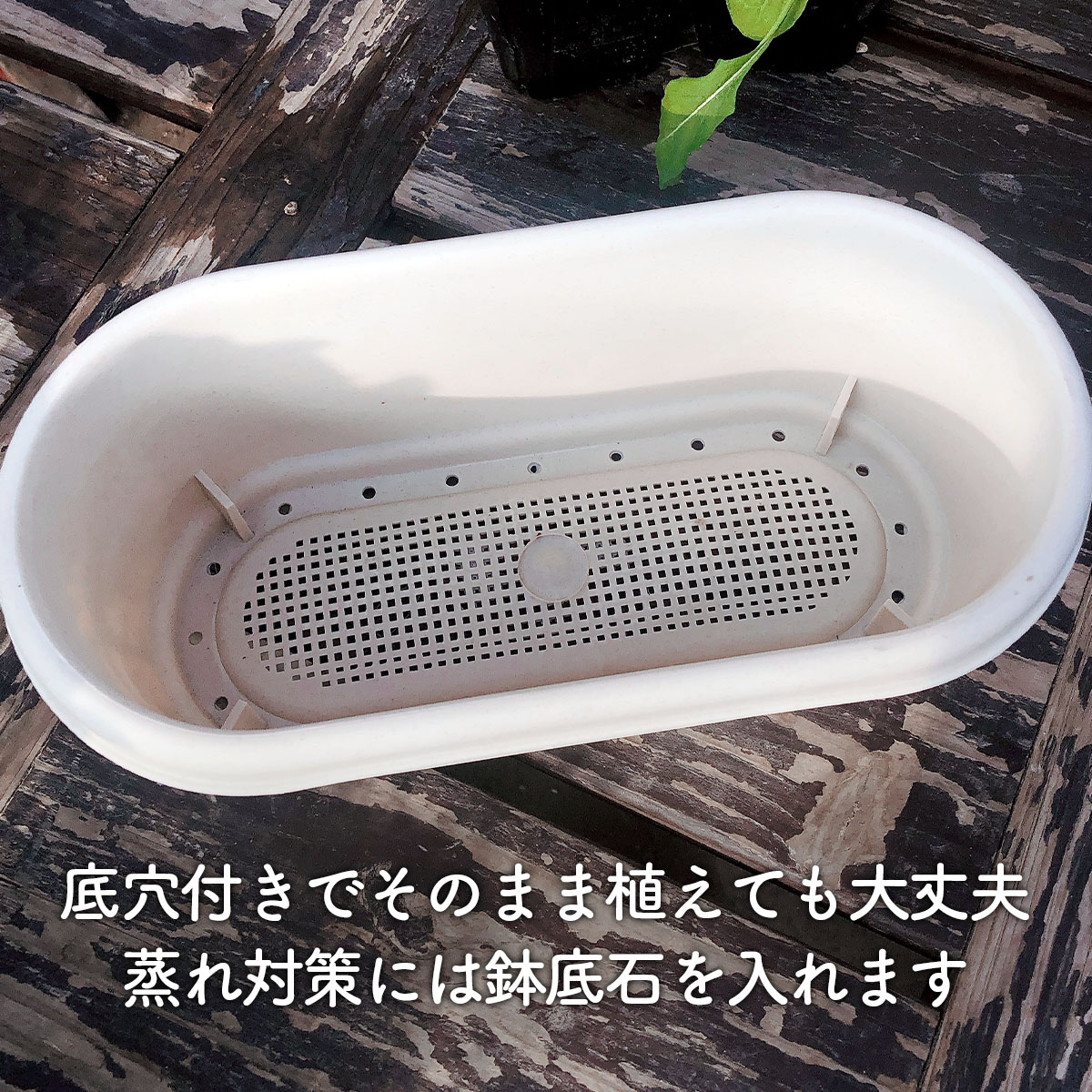 ハーブ栽培キット