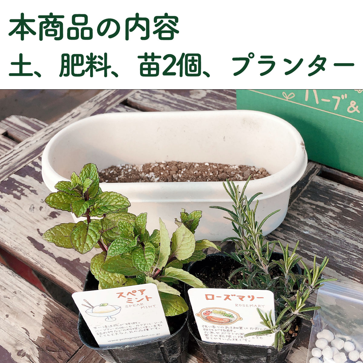 ハーブ栽培キット