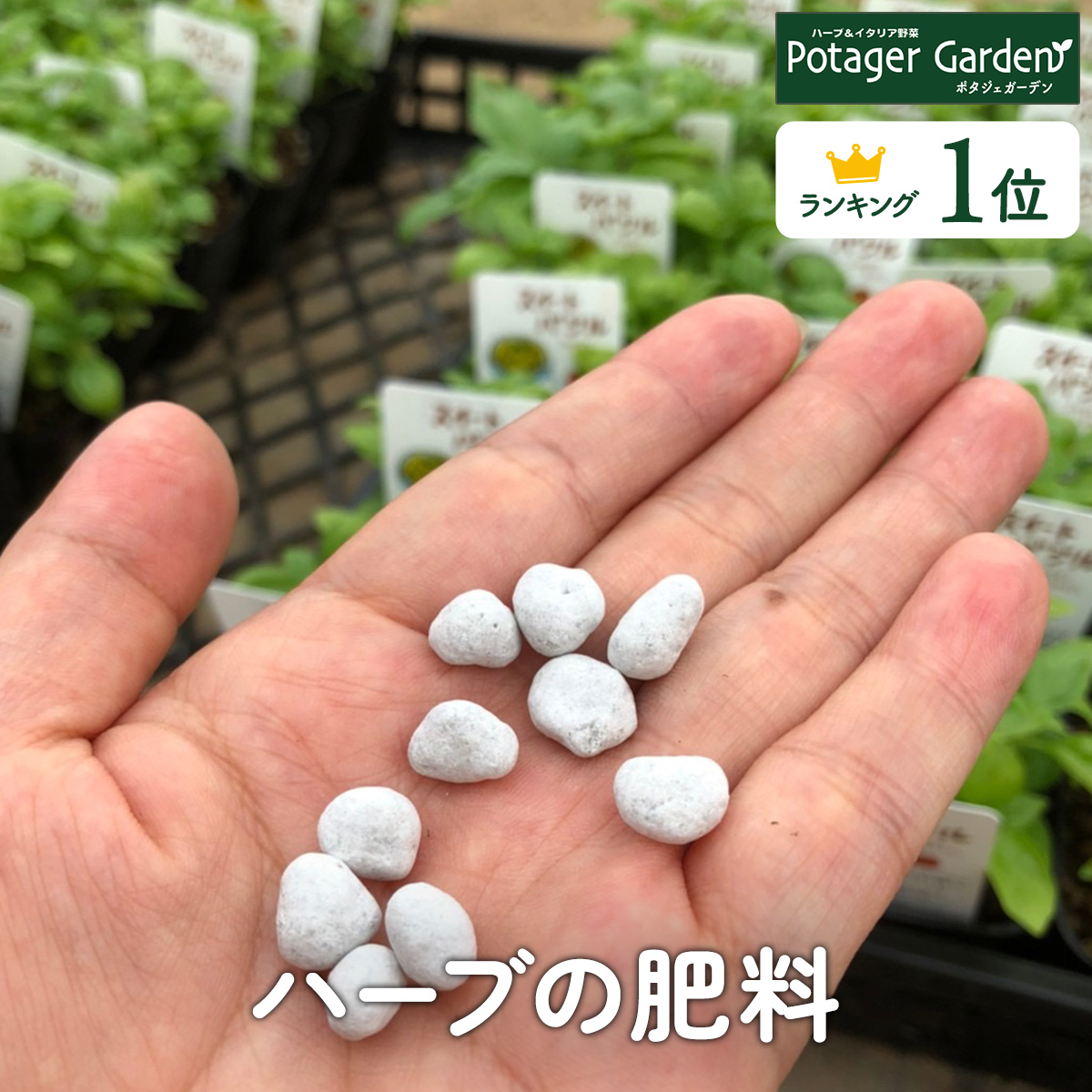 ハーブ 苗 専門店 ハーブ専用肥料 : ハーブ苗のポタジェガーデン