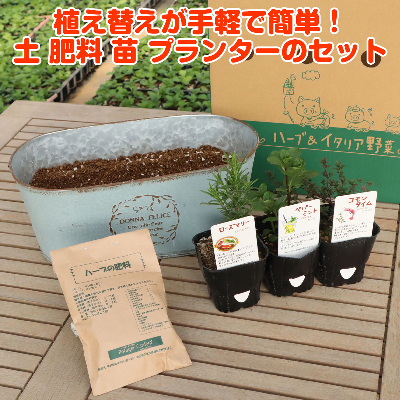 ハーブ 栽培キット 苗 セット 3個 ブリキプランター 種類 栽培 苗 種 寄せ植え 初心者 花 ハーブティー ハーブガーデン 送料無料 Kit Dana5626 ハーブ苗のポタジェガーデン 通販 Yahoo ショッピング