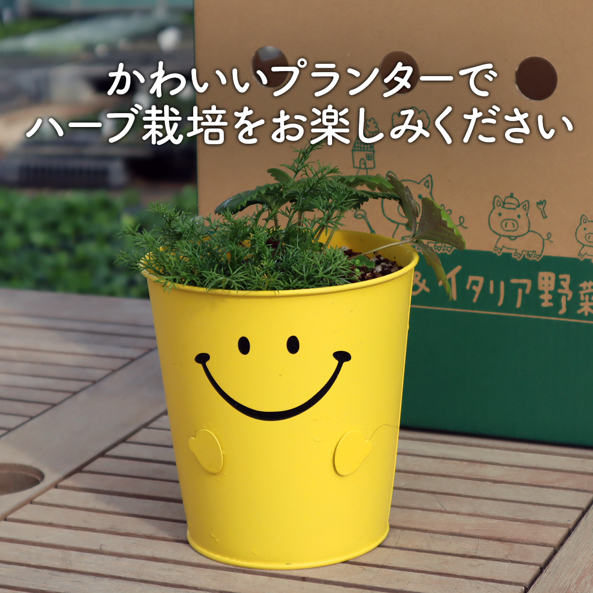 スマイル