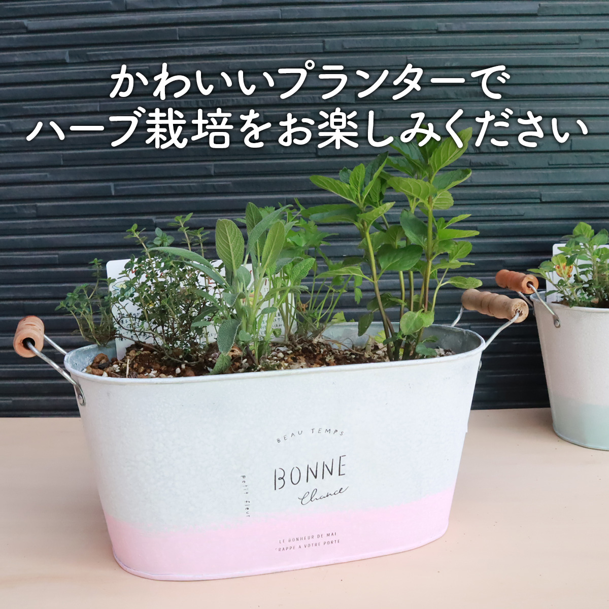 スマイル