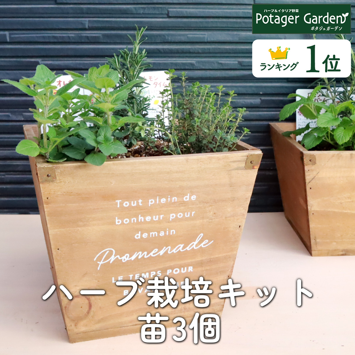 ハーブ栽培キット