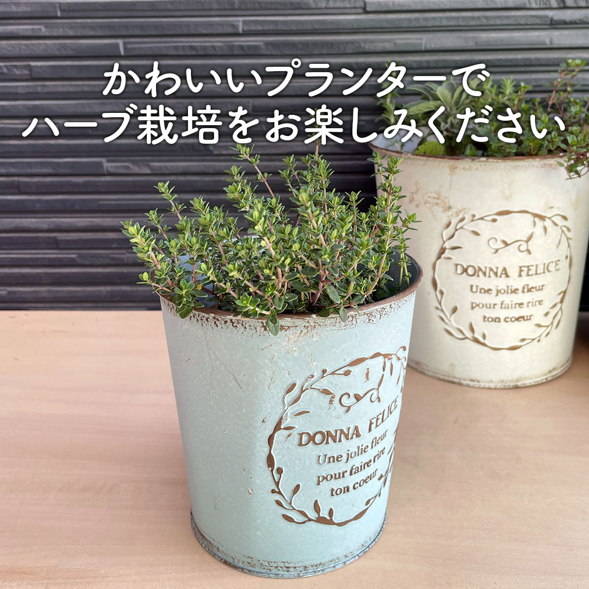 スマイル