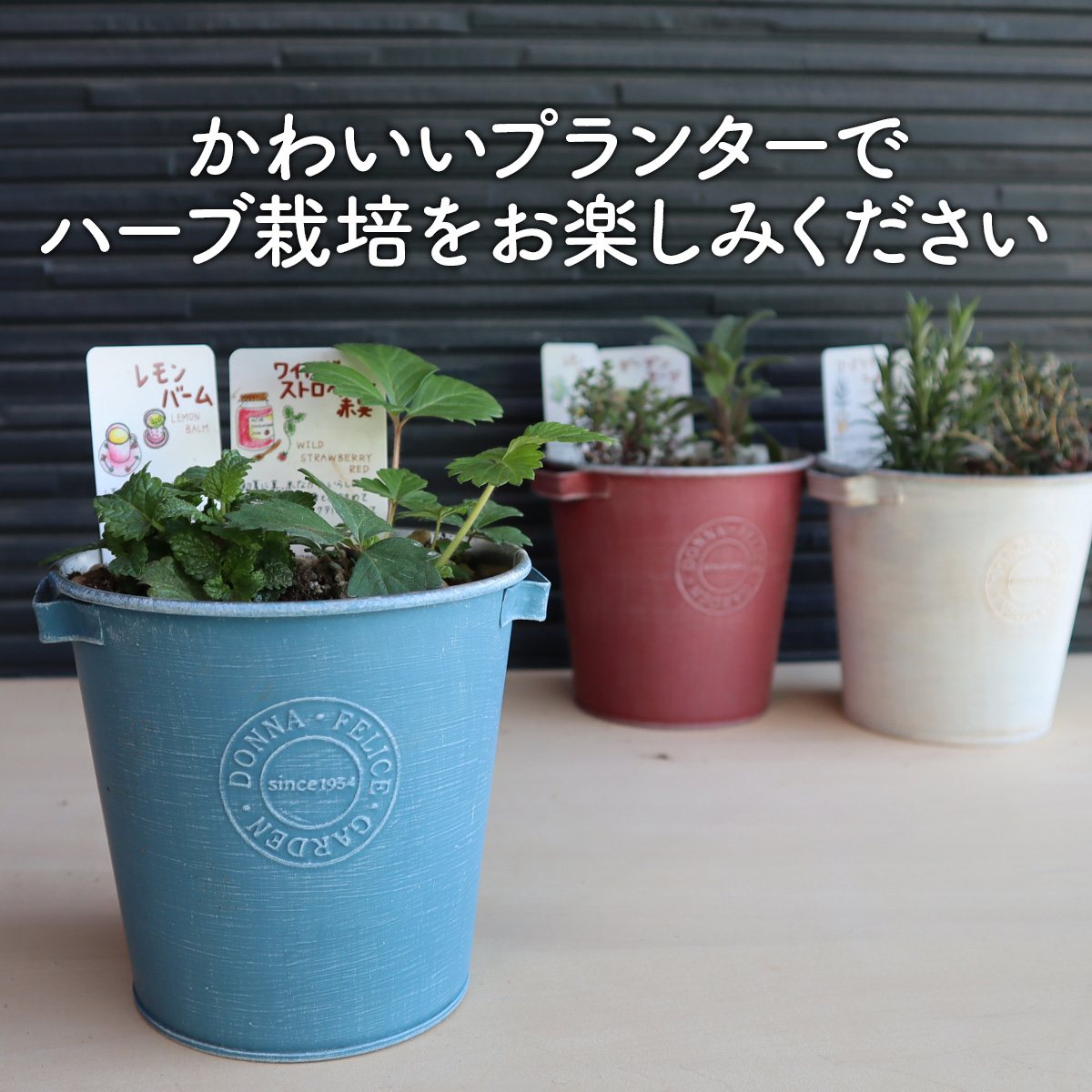 スマイル