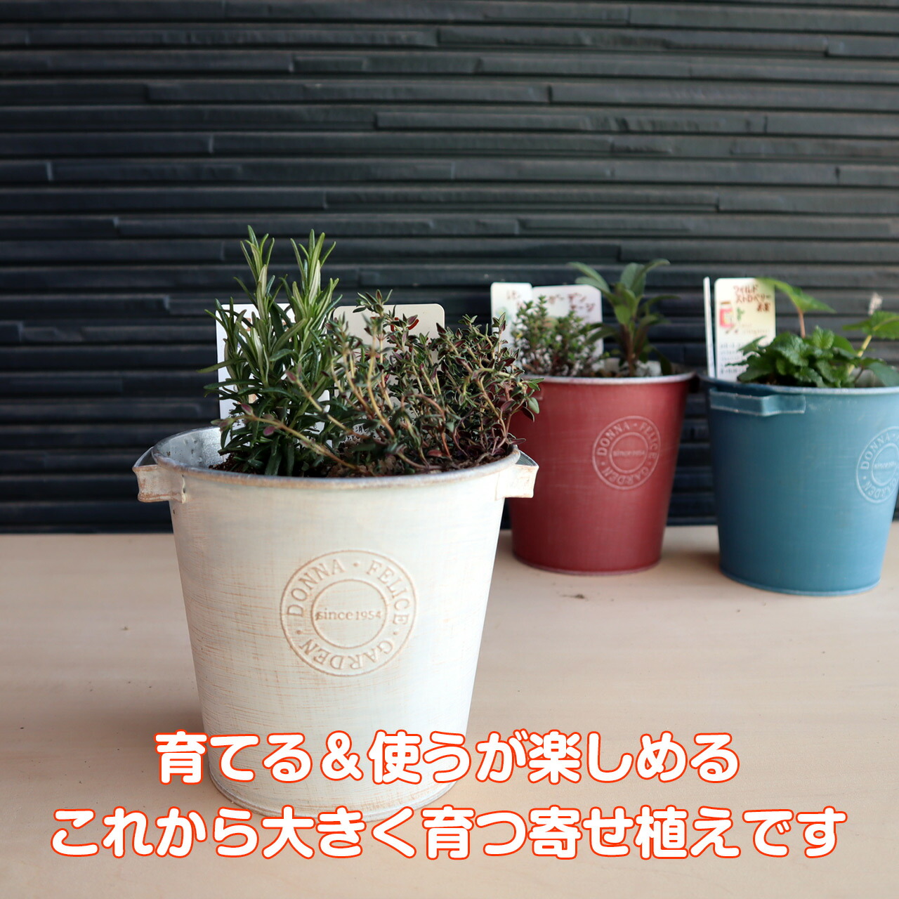 ハーブ栽培キット