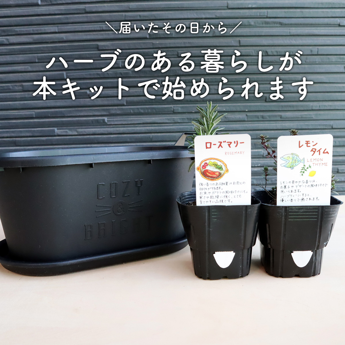 ハーブ栽培キット