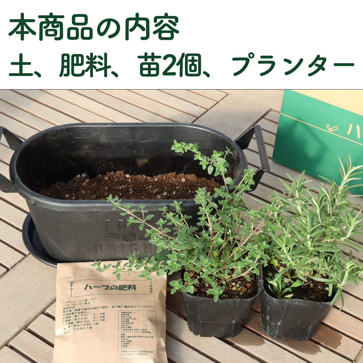 ハーブ栽培キット