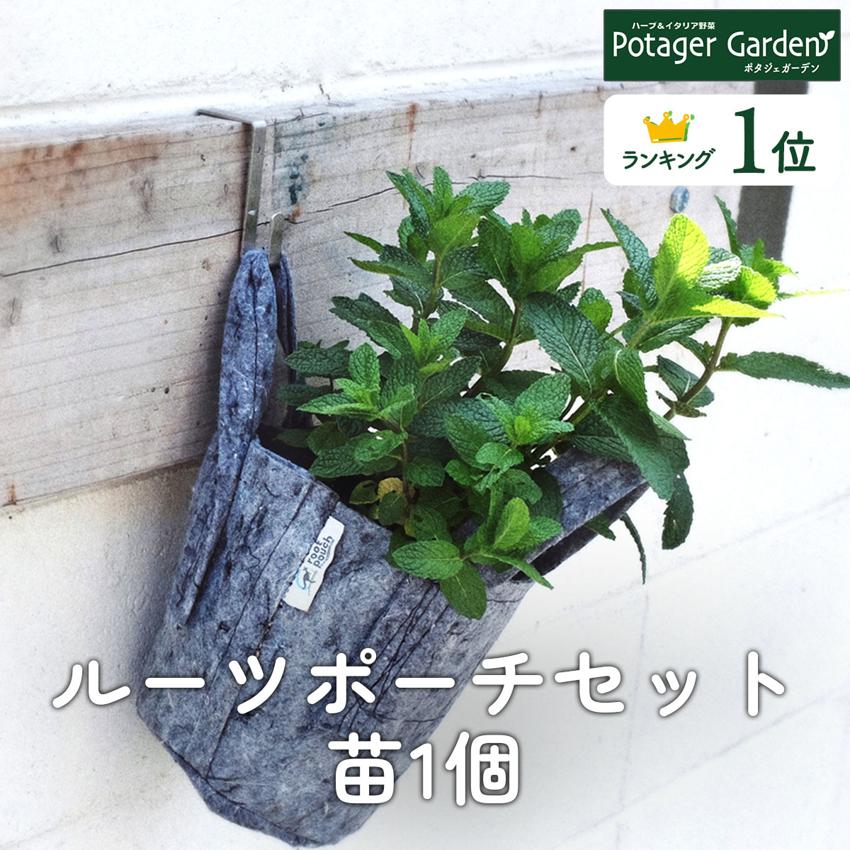 ハーブ栽培キット