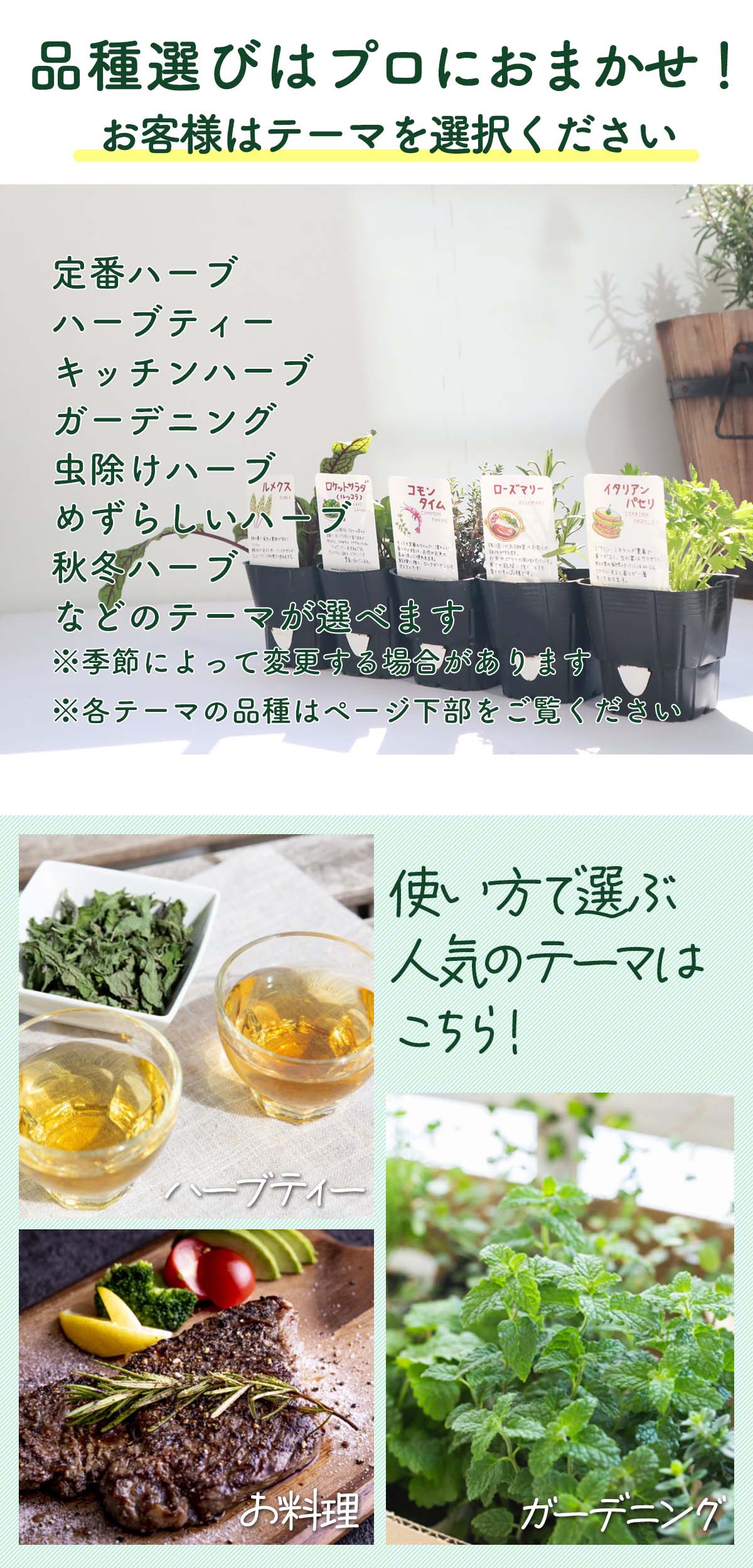 ハーブ栽培キット