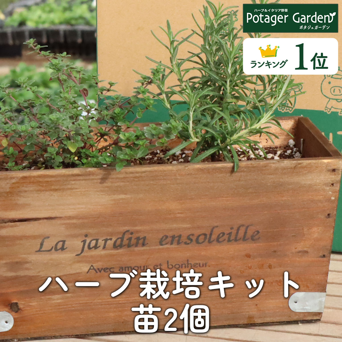 ハーブ 栽培キット 木製プランター 苗2個（種類 栽培 苗 種 寄せ植え 初心者 花 ハーブティー ハーブガーデン 送料無料） :  kit-wd-13r : ハーブ苗のポタジェガーデン - 通販 - Yahoo!ショッピング