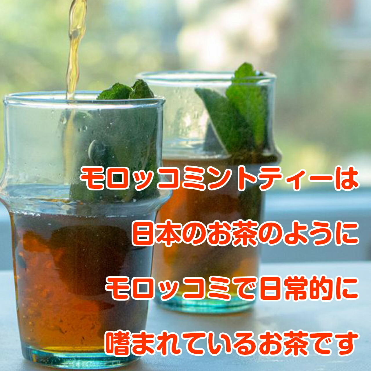 ハーブ 苗 モロッコミント ミントティー 種類 栽培 ハーブガーデン ミントオイル 育て方 苗木 果樹 栽培キット 栽培セット Mint Morocco ハーブ苗のポタジェガーデン 通販 Yahoo ショッピング