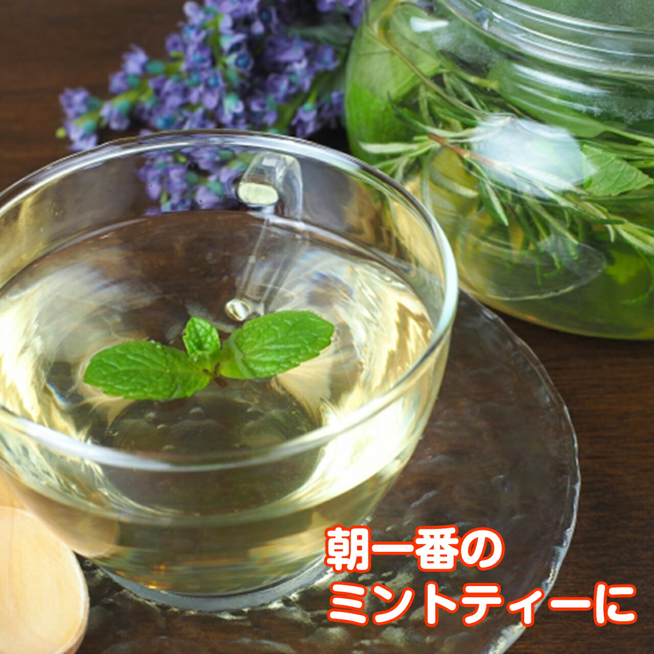 ハーブ 栽培キット 苗 ハーブガーデン ブリキプランター バジル かわいい 送料無料 ハーブティー 寄せ植え セット ローズマリー 観葉植物