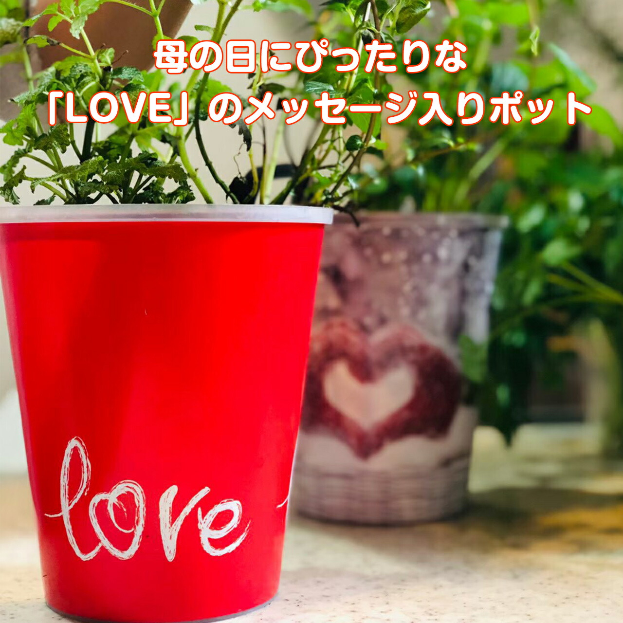 母の日 ギフト ハーブ 苗 寄せ植え（ミント 可愛い プレゼント