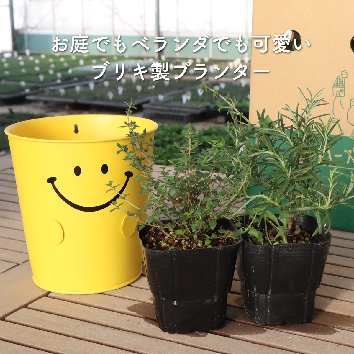 園芸用品 趣味の園芸、プランター、鉢、苗鉢、まとめてセット